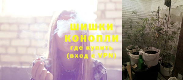 экстази Няндома