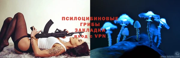 экстази Няндома