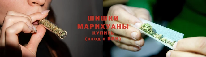 дживик Гатчина