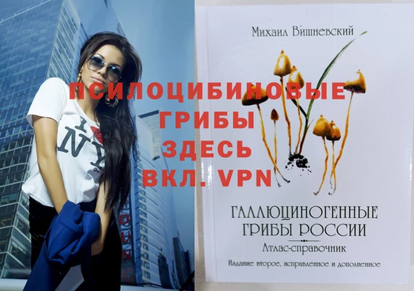 дживик Гатчина