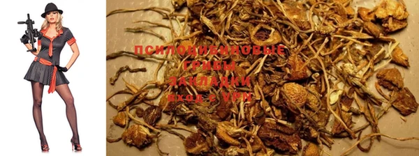 прущая мука Осташков