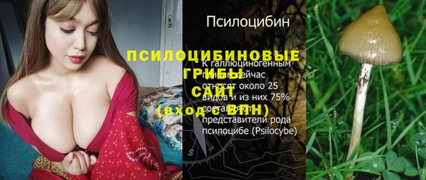 прущая мука Осташков