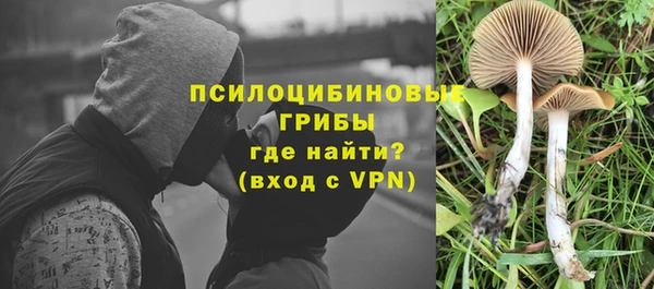 амф Осинники